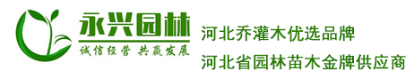 博野縣永興苗木種植有限公司